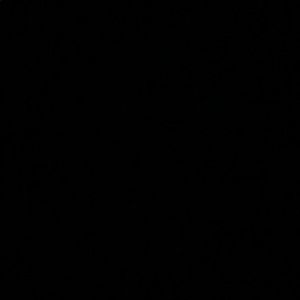 Meet your Posher, Zack